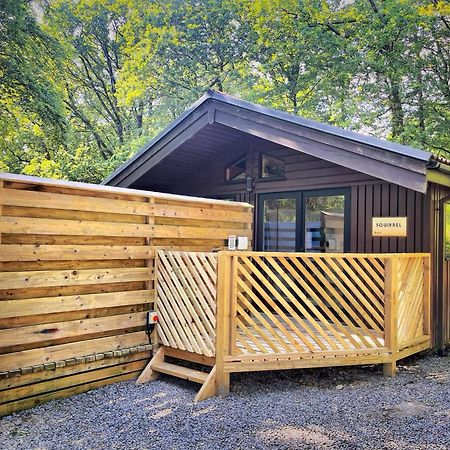 The Squirrel Lodge - Hot Tub - Pet Friendly - Pembrokeshire-Tenby Carmarthen Exterior foto